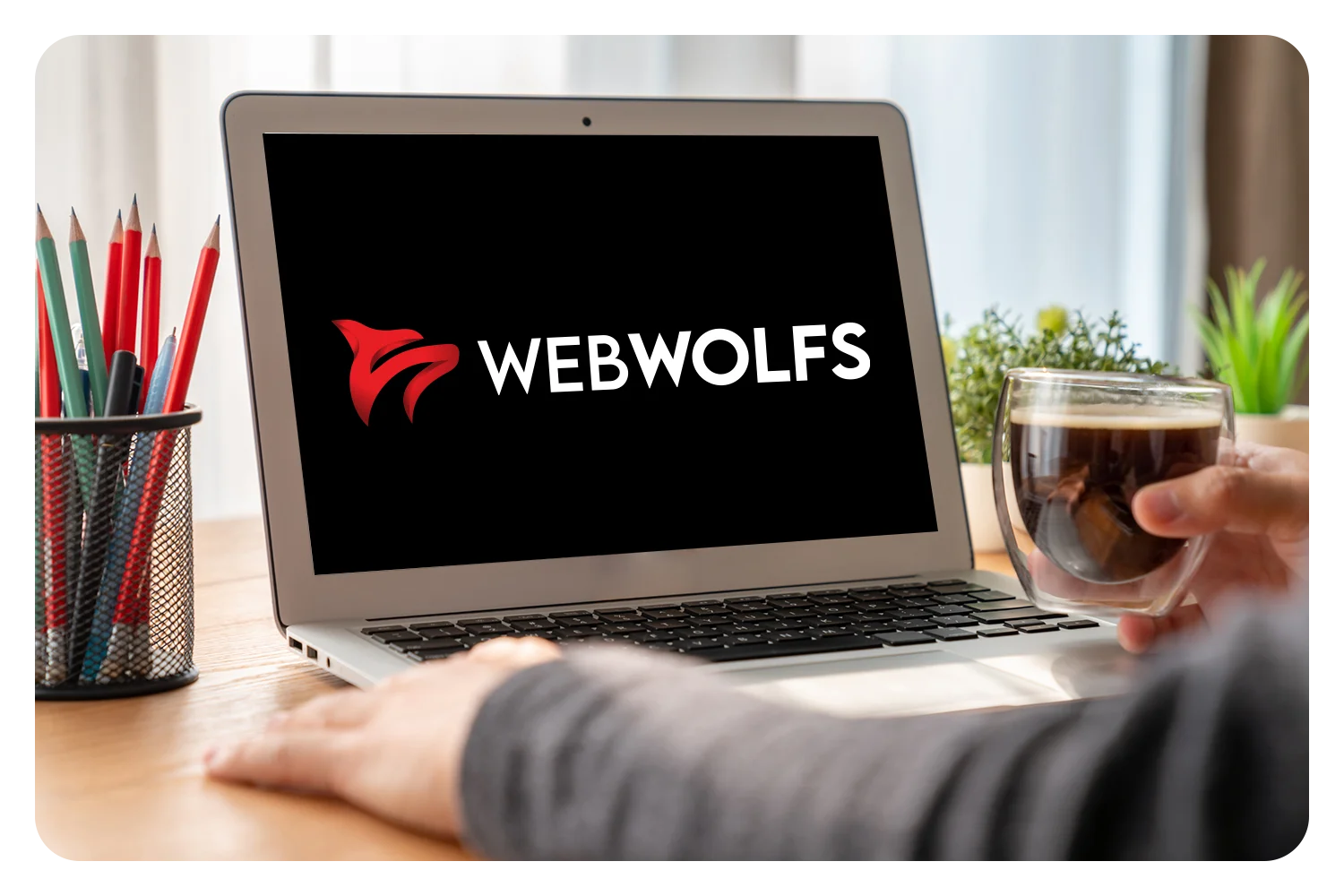 WebWolfs Is The Best Web Design Company in Denver